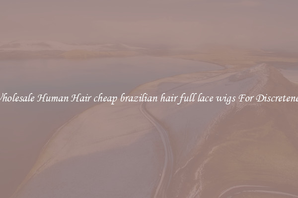 Wholesale Human Hair cheap brazilian hair full lace wigs For Discreteness