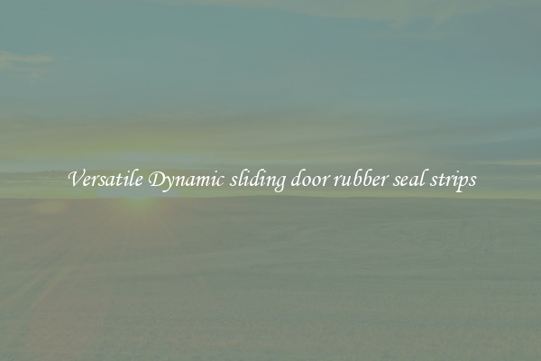 Versatile Dynamic sliding door rubber seal strips