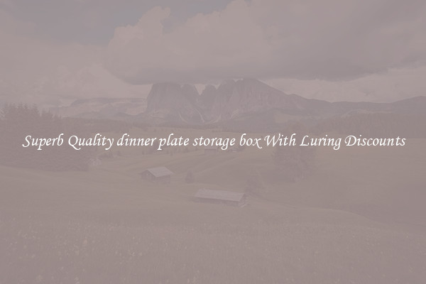 Superb Quality dinner plate storage box With Luring Discounts
