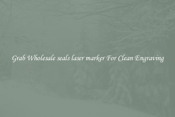 Grab Wholesale seals laser marker For Clean Engraving