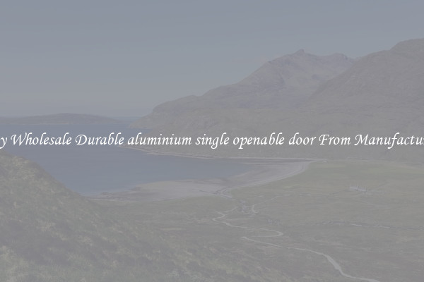 Buy Wholesale Durable aluminium single openable door From Manufacturers