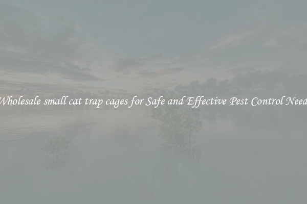 Wholesale small cat trap cages for Safe and Effective Pest Control Needs