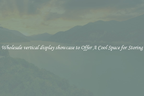 Wholesale vertical display showcase to Offer A Cool Space for Storing