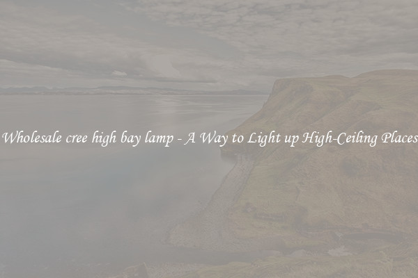 Wholesale cree high bay lamp - A Way to Light up High-Ceiling Places