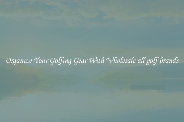Organize Your Golfing Gear With Wholesale all golf brands
