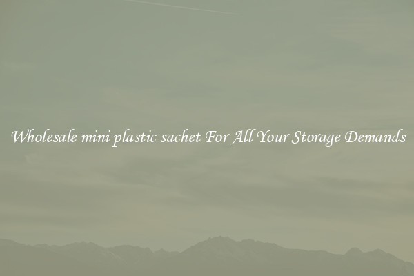 Wholesale mini plastic sachet For All Your Storage Demands
