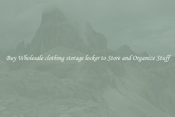 Buy Wholesale clothing storage locker to Store and Organize Stuff