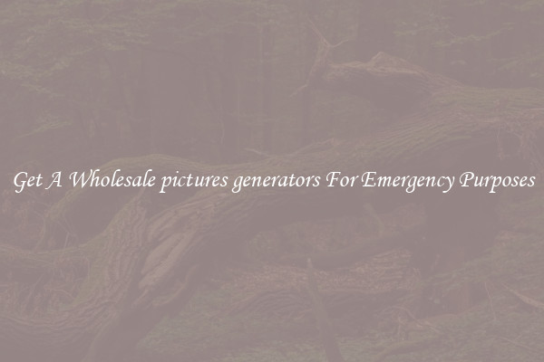 Get A Wholesale pictures generators For Emergency Purposes