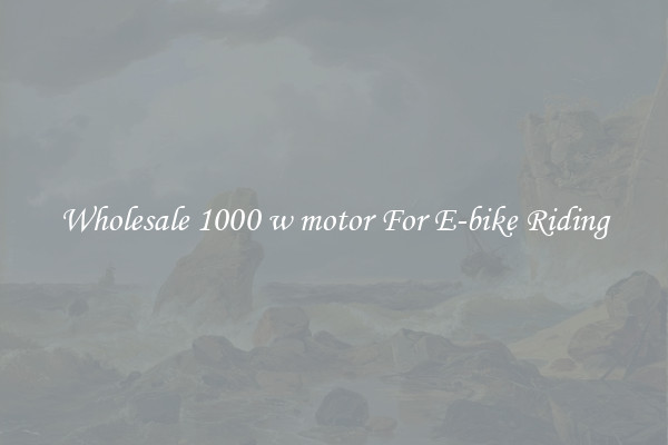 Wholesale 1000 w motor For E-bike Riding