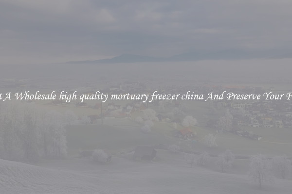 Get A Wholesale high quality mortuary freezer china And Preserve Your Food