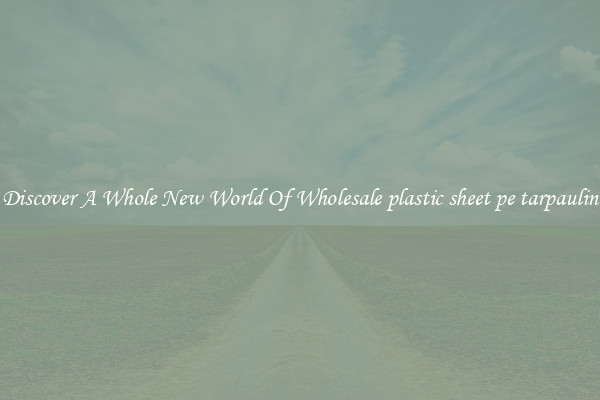Discover A Whole New World Of Wholesale plastic sheet pe tarpaulin
